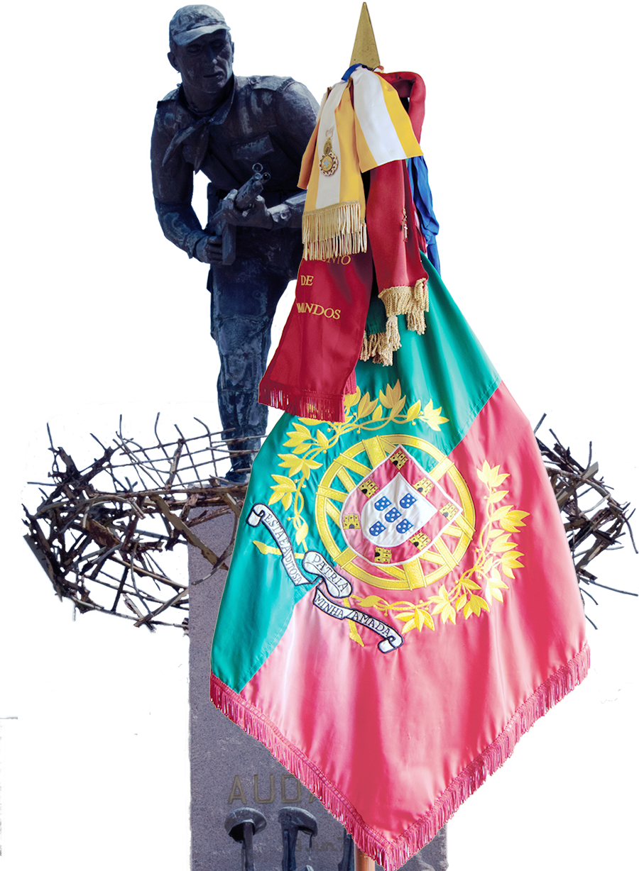 ESTANDARTE NACIONAL – COLEÇÃO VISITÁVEL