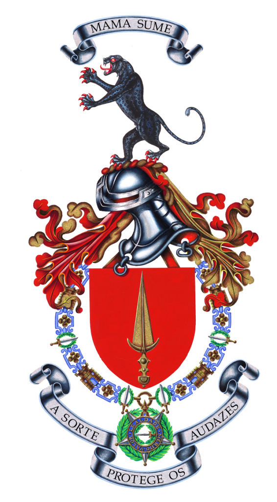 REGIMENTO DE COMANDOS3 – RCMDS
